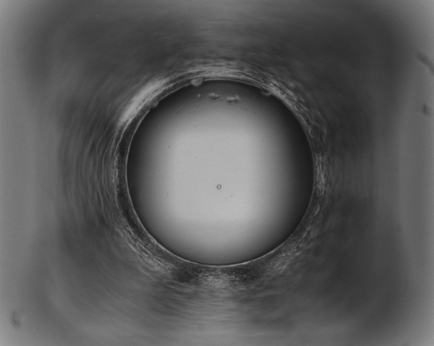 X0000103480199200809121657