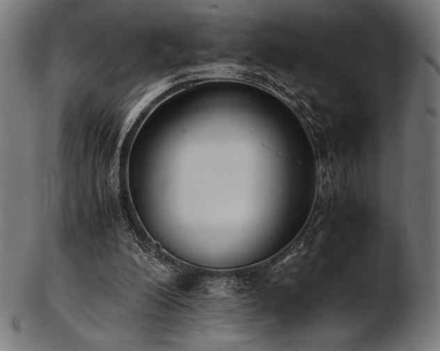 X0000103480200200809121657