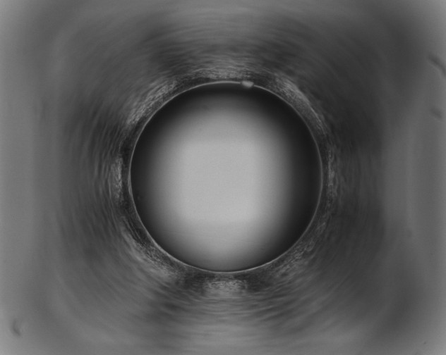 X0000103480202200809121657