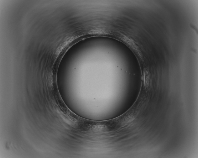 X0000103480204200809121657