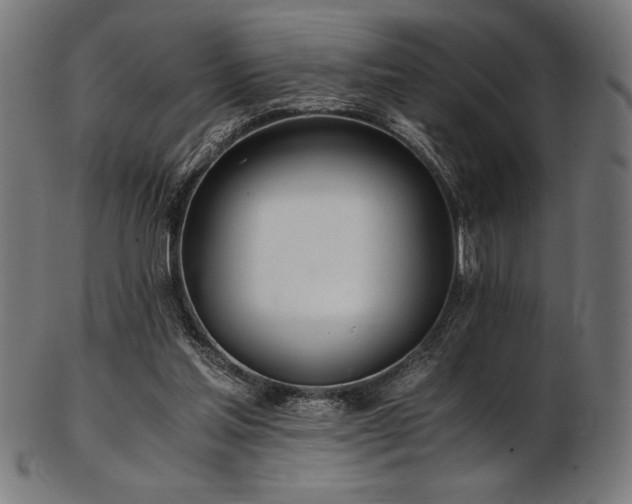 X0000103480205200809121657