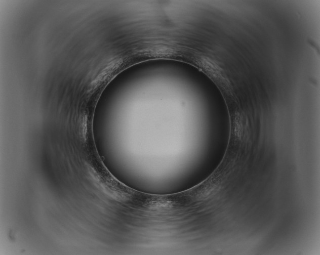 X0000103480206200809121657
