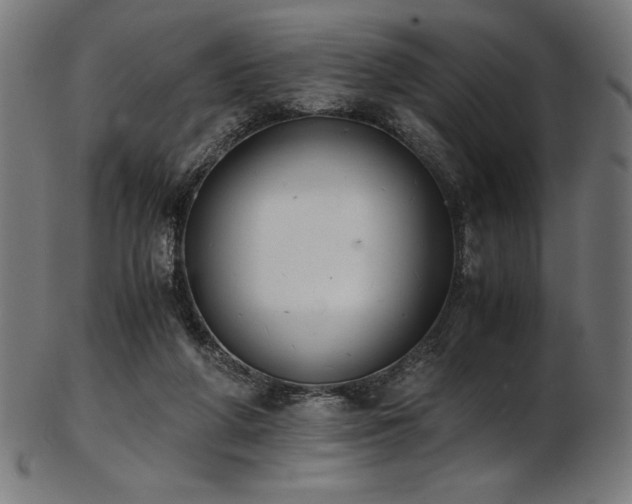 X0000103480210200809121657