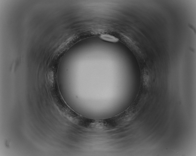 X0000103480211200809121657