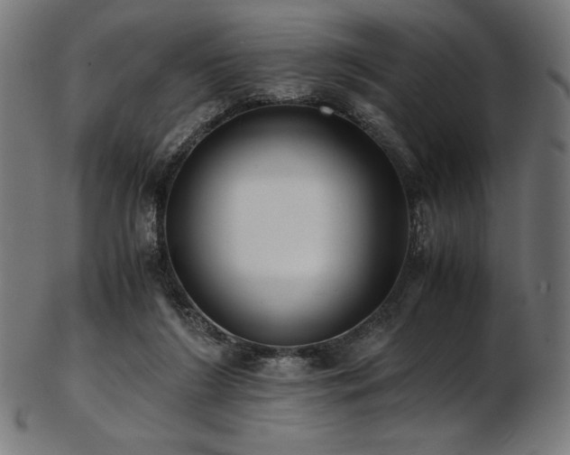 X0000103480212200809121657