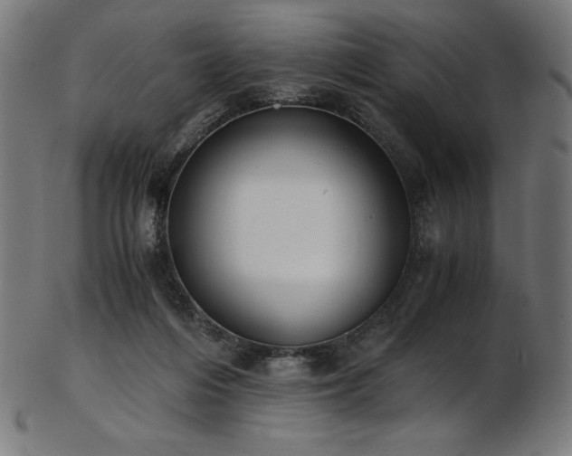 X0000103480216200809121657