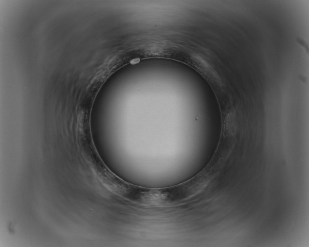 X0000103480217200809121657