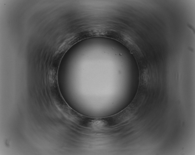 X0000103480218200809121657