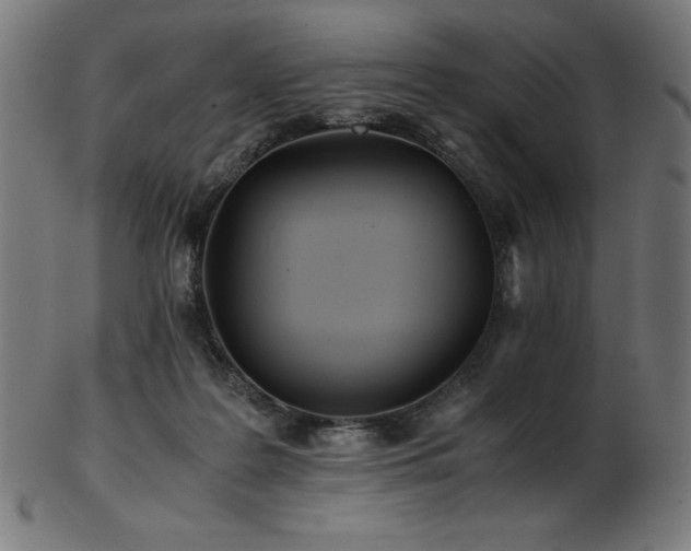 X0000103480219200809121657