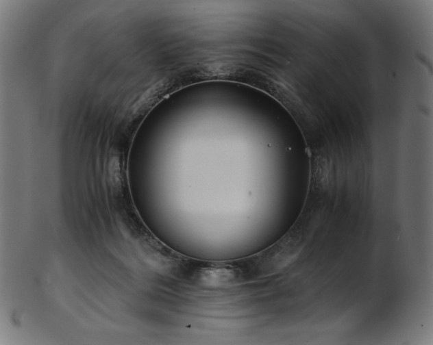 X0000103480220200809121657