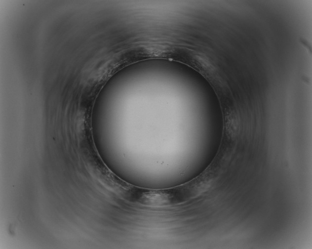 X0000103480221200809121657