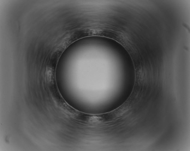 X0000103480222200809121657