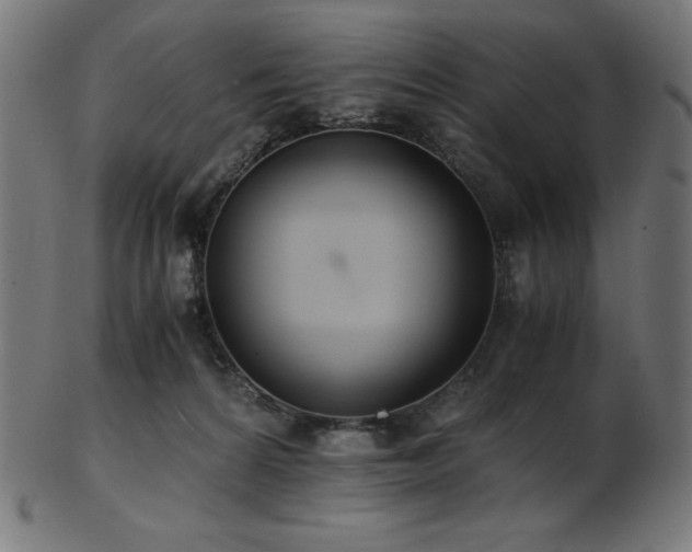 X0000103480224200809121657