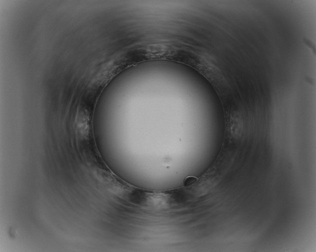 X0000103480226200809121657