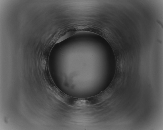X0000103480227200809121657
