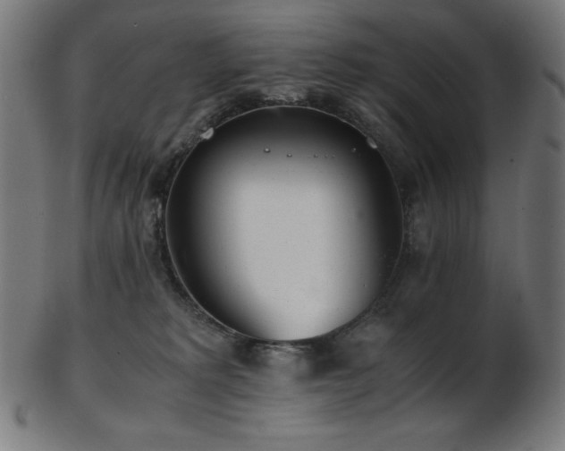 X0000103480229200809121657