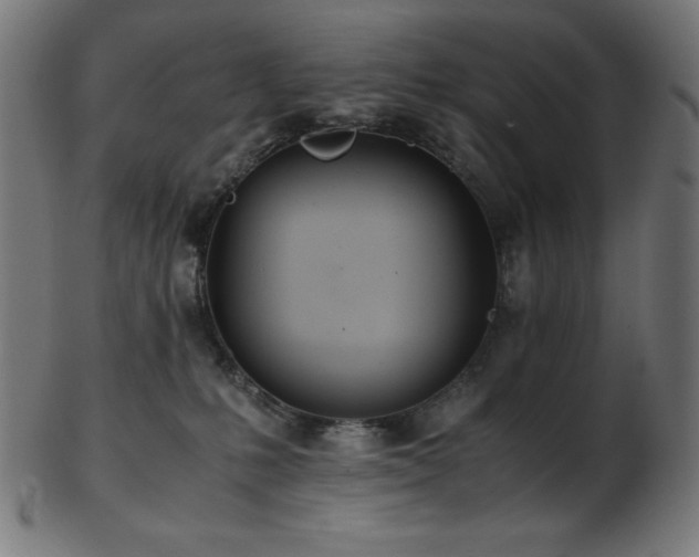 X0000103480231200809121657