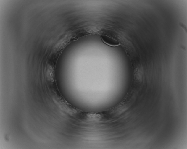 X0000103480234200809121657