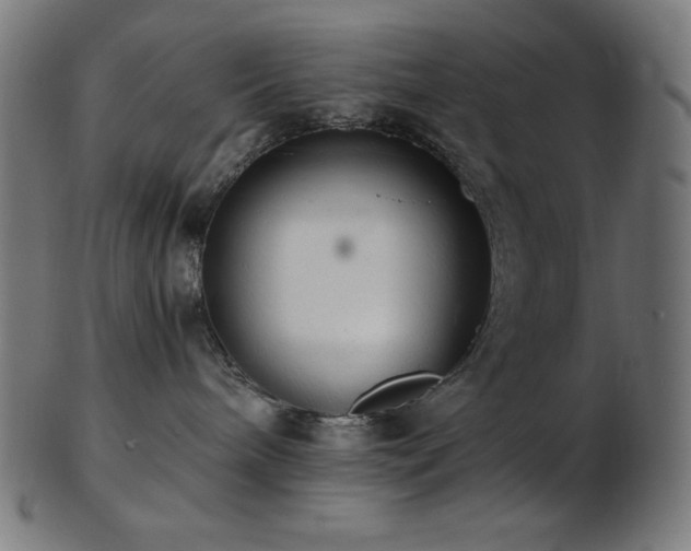 X0000103480240200809121657