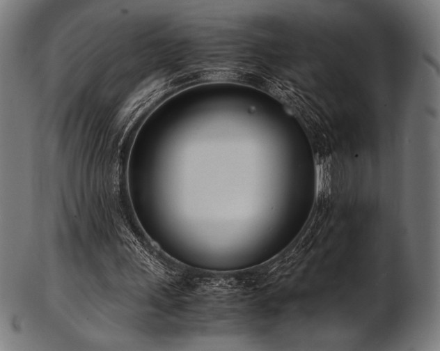X0000103480243200809121656