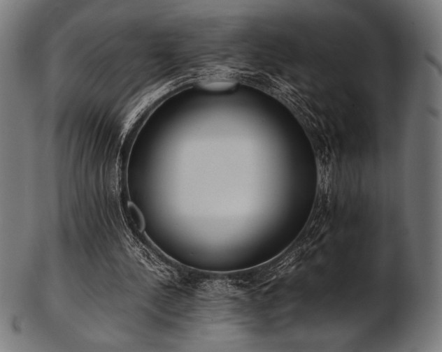 X0000103480244200809121656