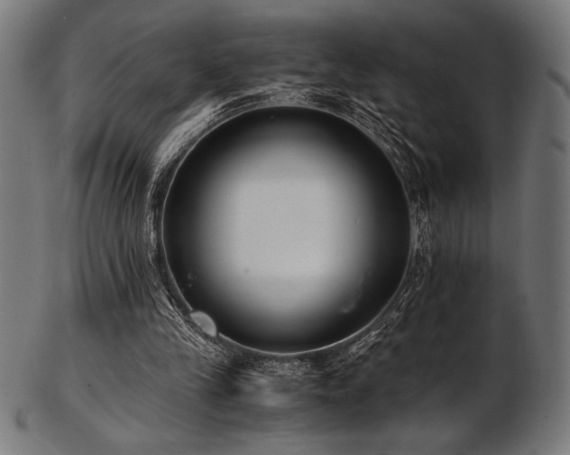 X0000103480245200809121656