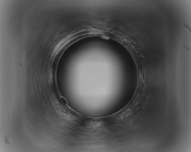 X0000103480247200809121656
