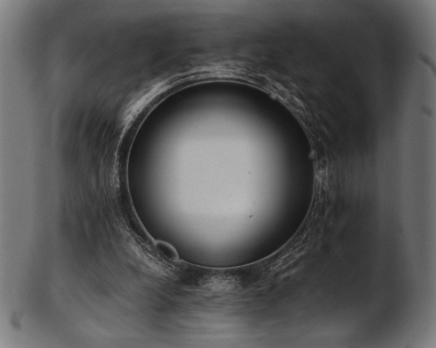 X0000103480248200809121656