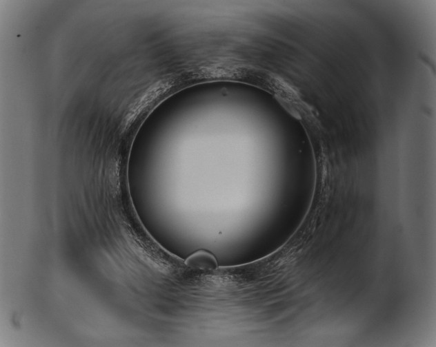 X0000103480250200809121656