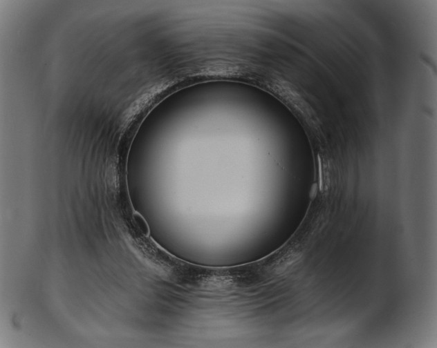 X0000103480252200809121656
