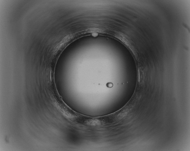X0000103480253200809121656