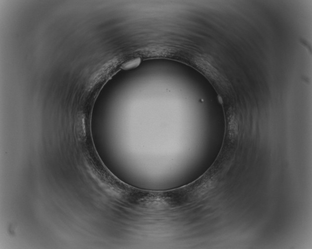 X0000103480254200809121656