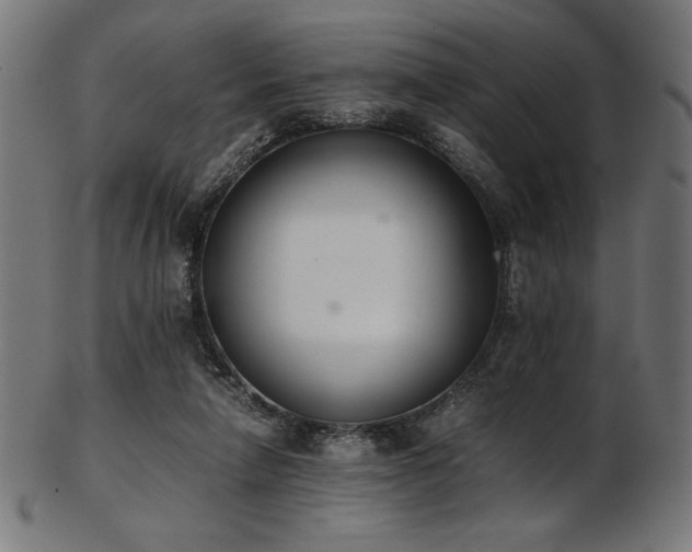 X0000103480258200809121656