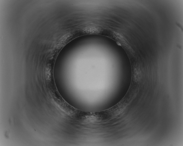 X0000103480259200809121656