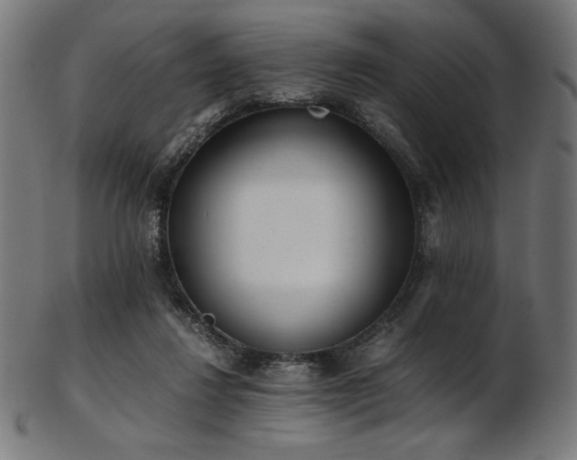 X0000103480260200809121656