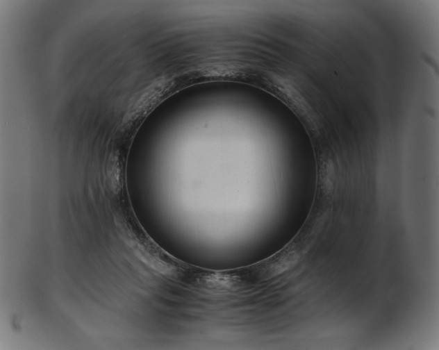 X0000103480261200809121656