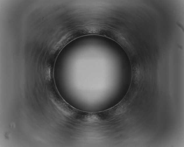 X0000103480262200809121656