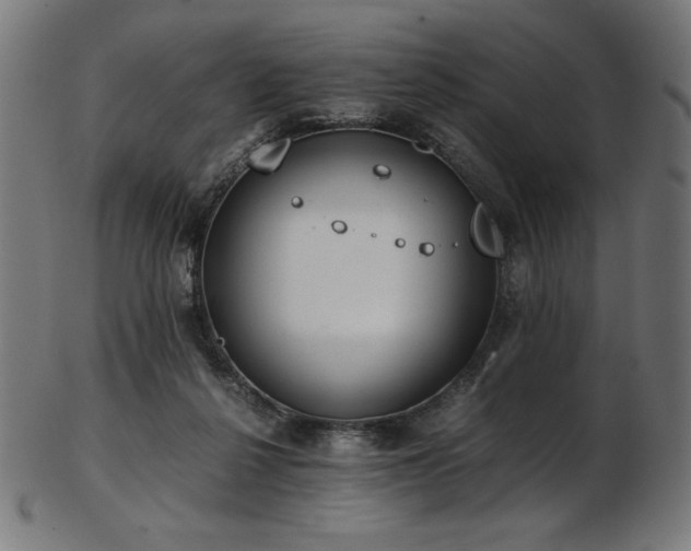 X0000103480264200809121656