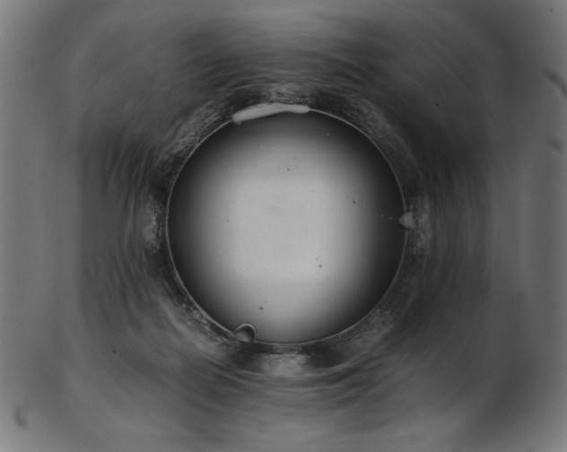 X0000103480266200809121656