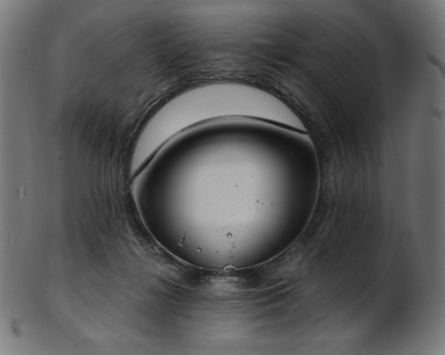 X0000103480268200809121656