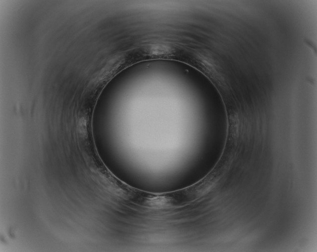 X0000103480269200809121656