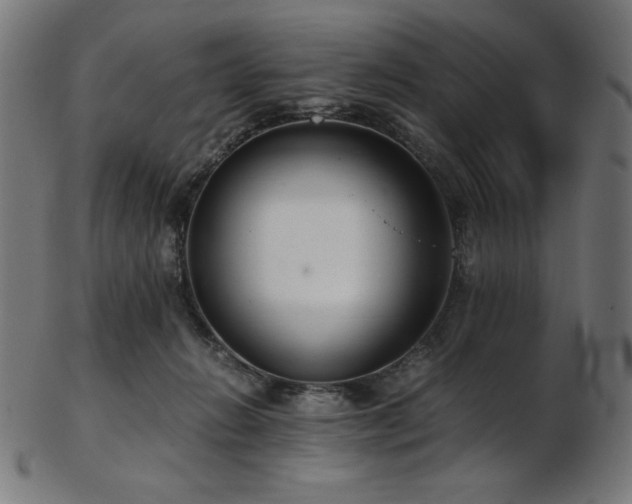 X0000103480270200809121656