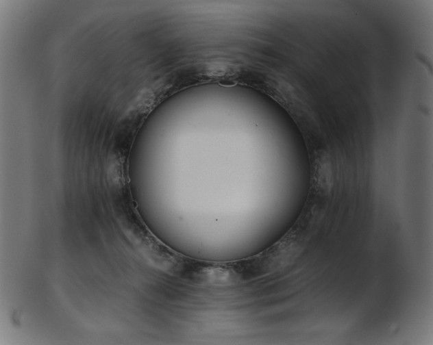 X0000103480272200809121656