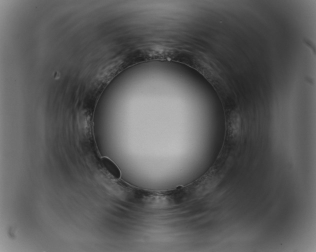 X0000103480276200809121656
