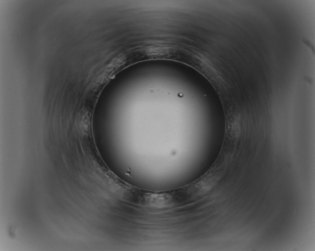 X0000103480277200809121656