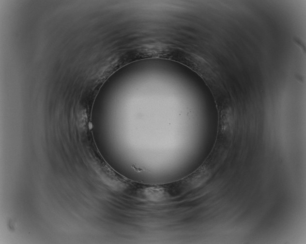 X0000103480279200809121656