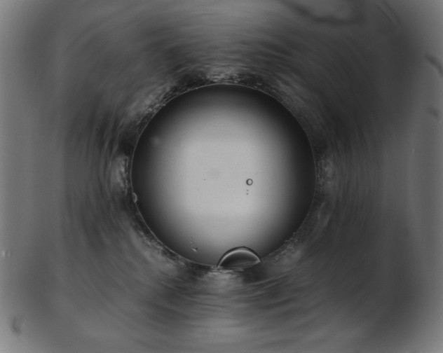 X0000103480280200809121656