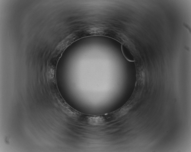 X0000103480281200809121656