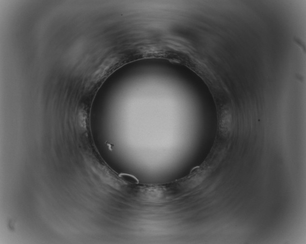 X0000103480282200809121656