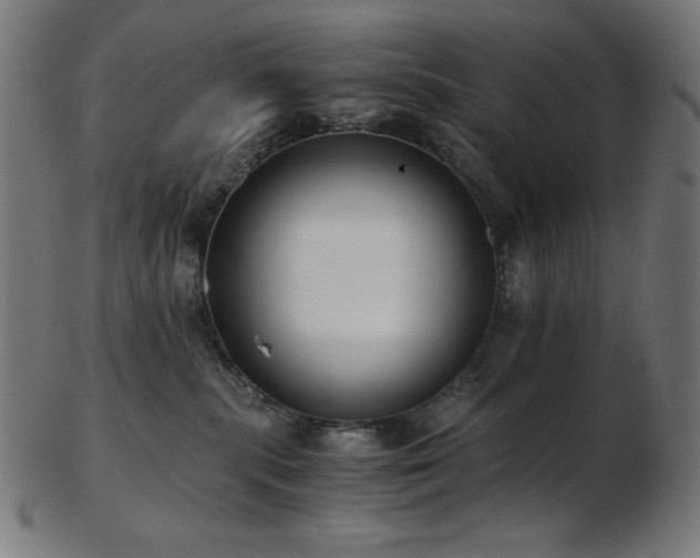 X0000103480283200809121657